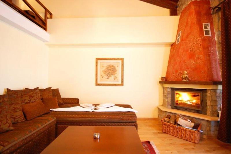 Vasilitsa Spa Resort Grevená Habitación foto