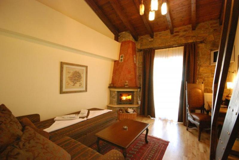 Vasilitsa Spa Resort Grevená Habitación foto