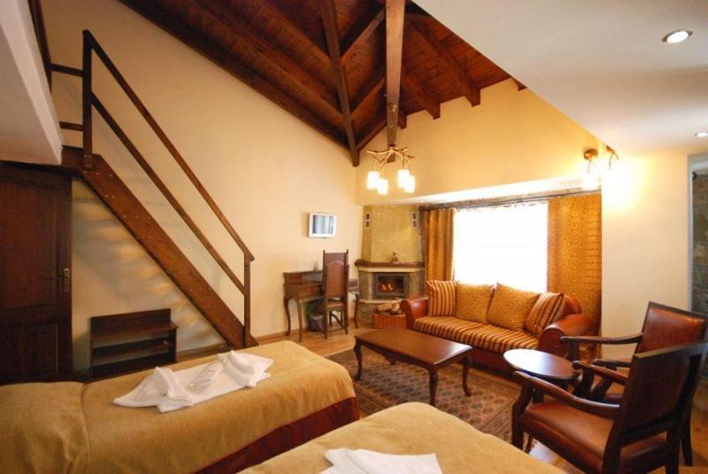 Vasilitsa Spa Resort Grevená Habitación foto