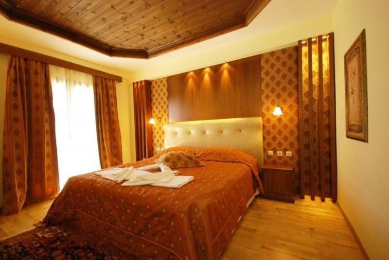 Vasilitsa Spa Resort Grevená Habitación foto