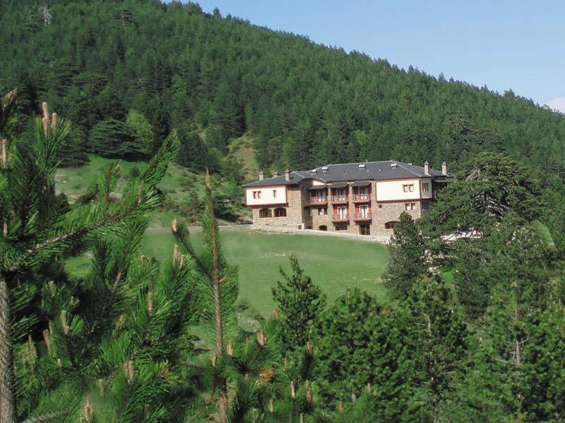 Vasilitsa Spa Resort Grevená Exterior foto